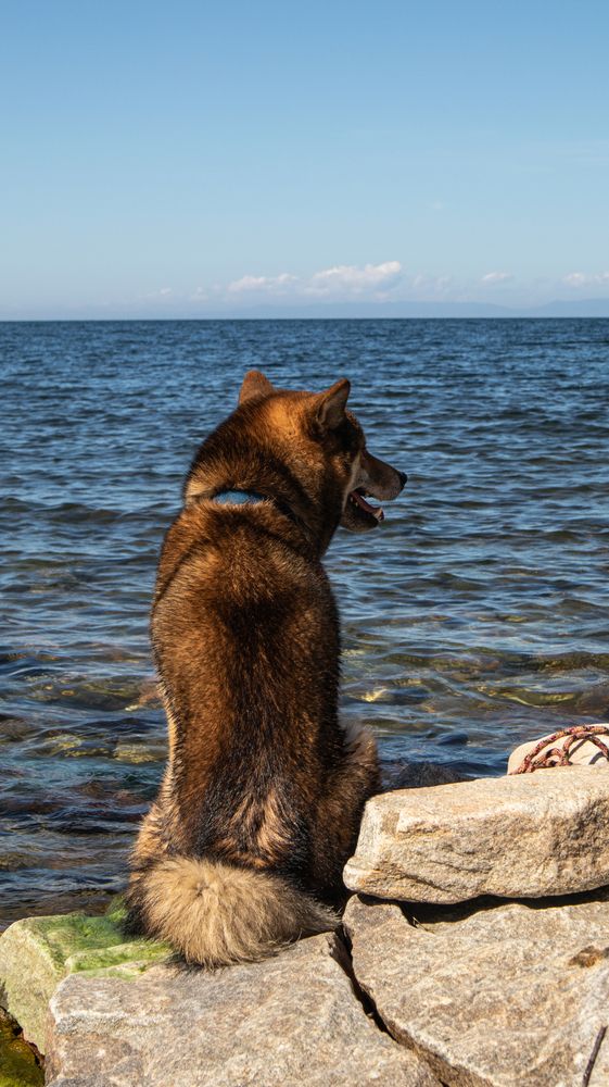 Сиба и Байкал