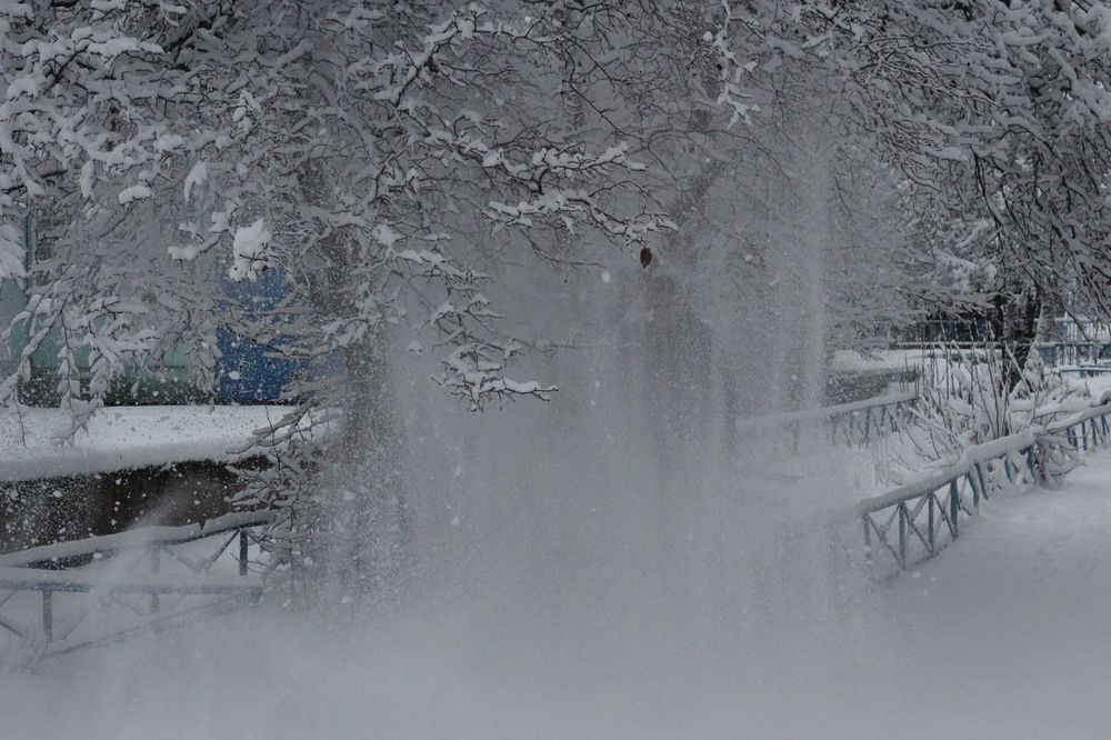 Photograph by Виктория Шевчук