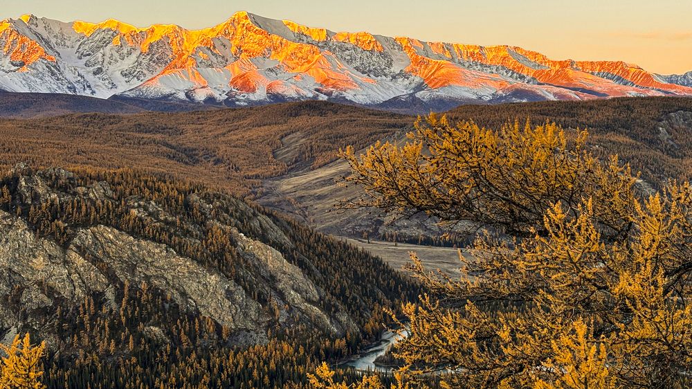 Photograph by Александр Григорьев