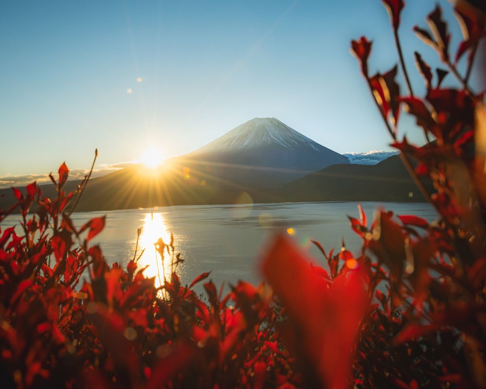 Photograph by Matheus Gregório