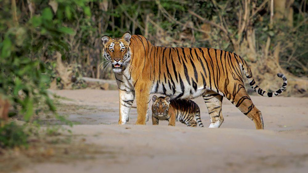 Photograph by Bijoy Das