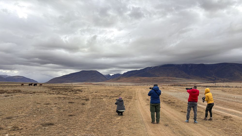 Photograph by Александр Григорьев