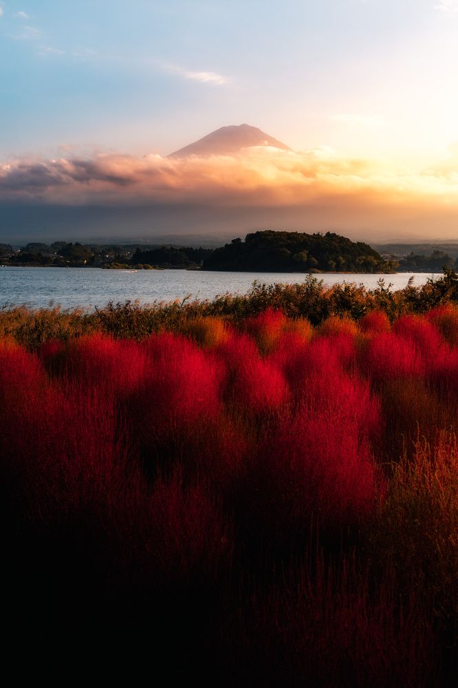 Photograph by Hinata