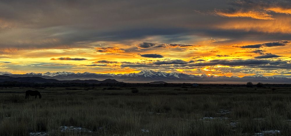 Photograph by Александр Григорьев