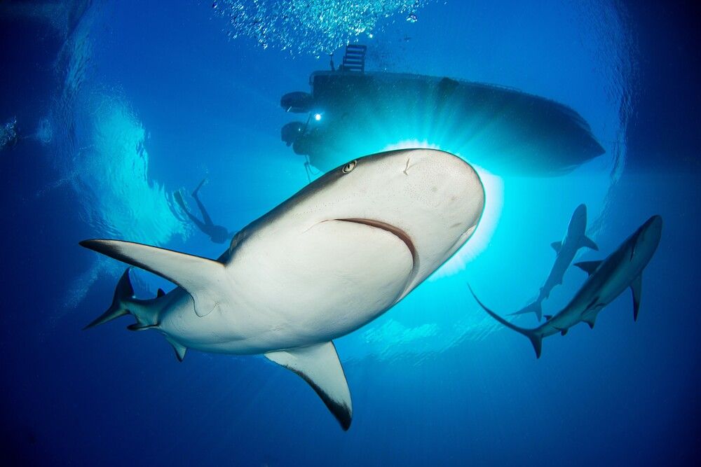 Photograph by Maydel Perez Valle