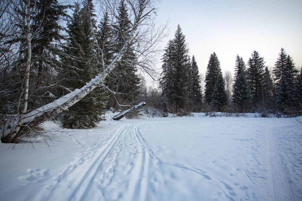 Photograph by Евгений Авдеев