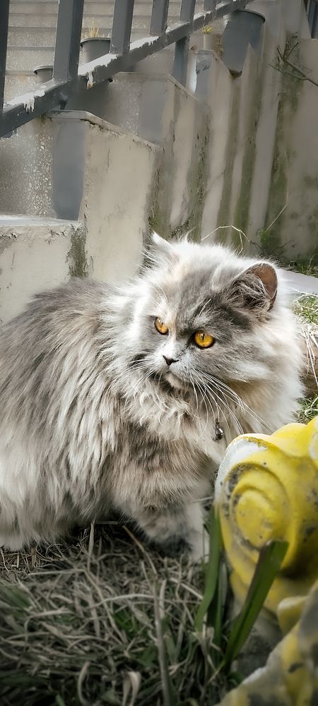 Photograph by Tania saghir