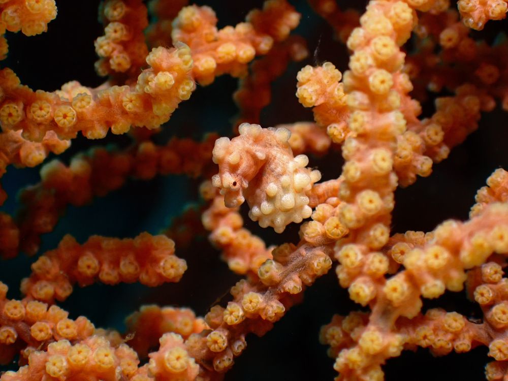 Photograph by Andy Nales Flores