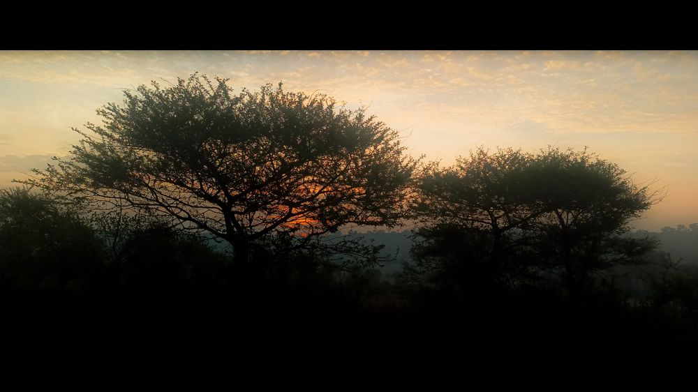 Photo #11946678