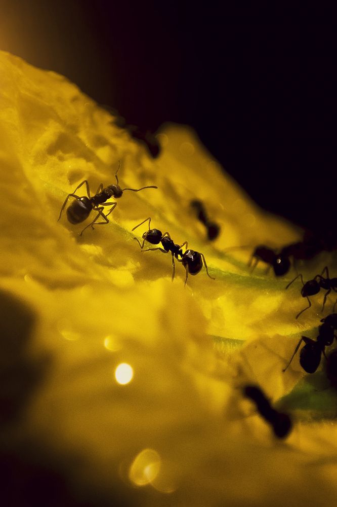 Photograph by Willow Grace