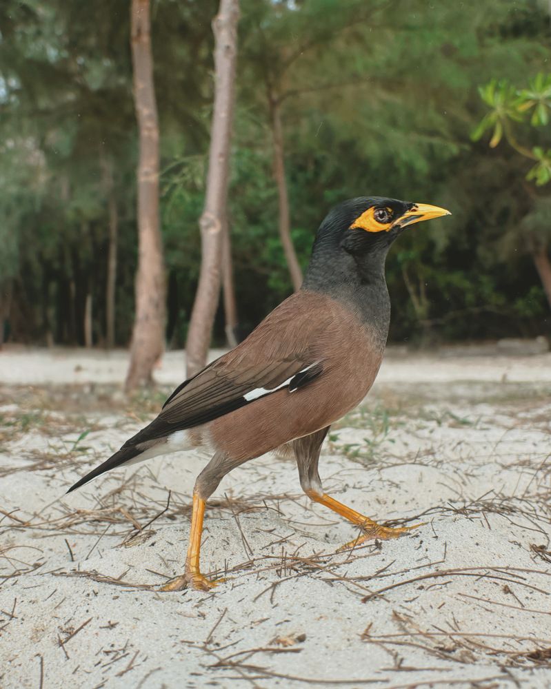 Photograph by Козинец Александр