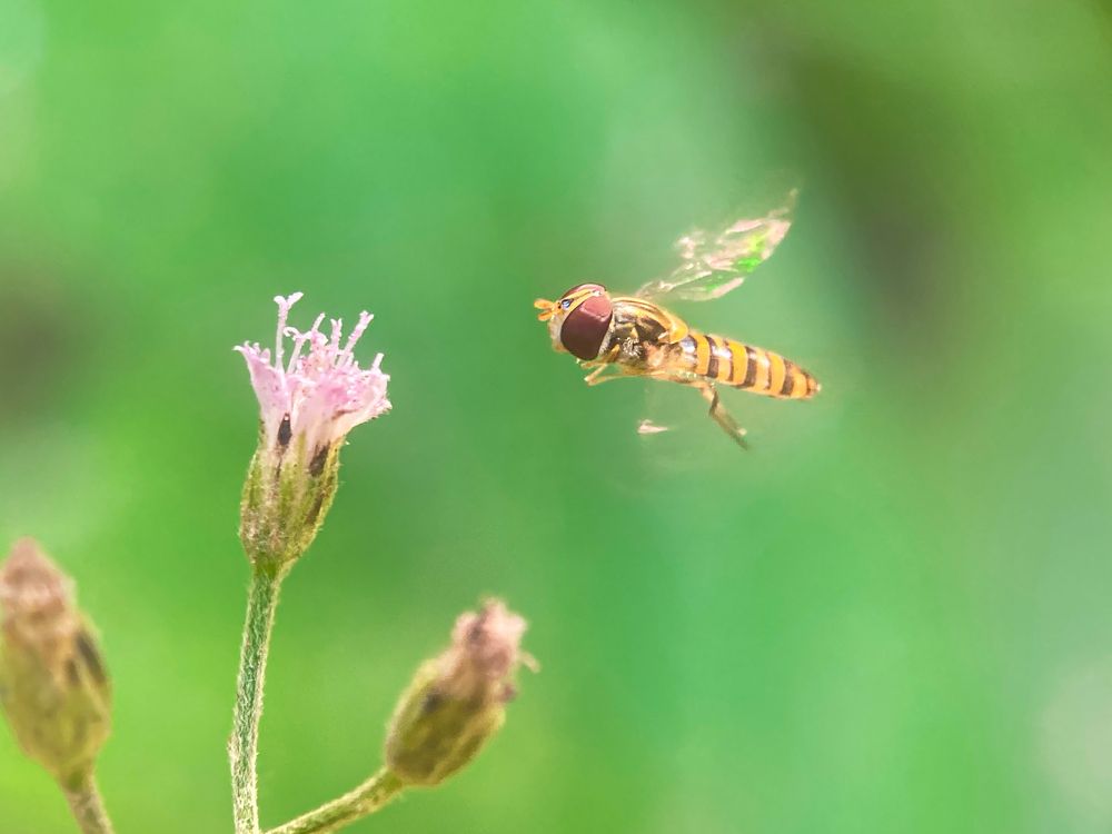 Photograph by Abhijit Roy