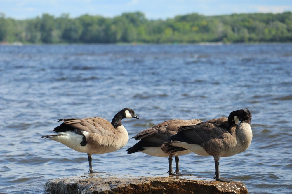 Photograph by Azoukou Clarence Ivan