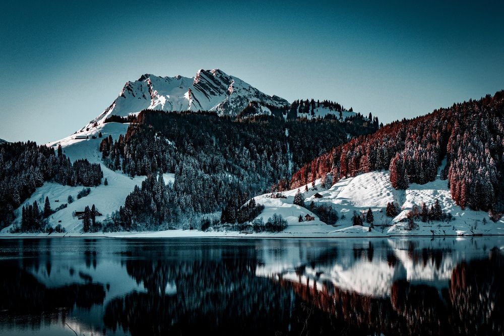 Фотография автора Emi D