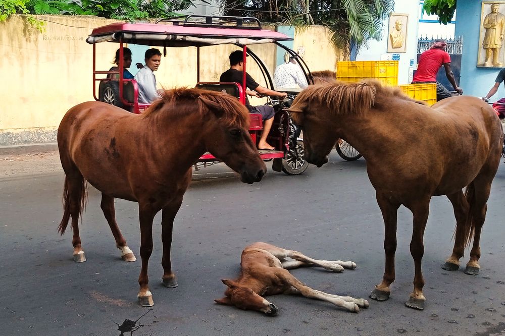 Photograph by Kamal Biswas