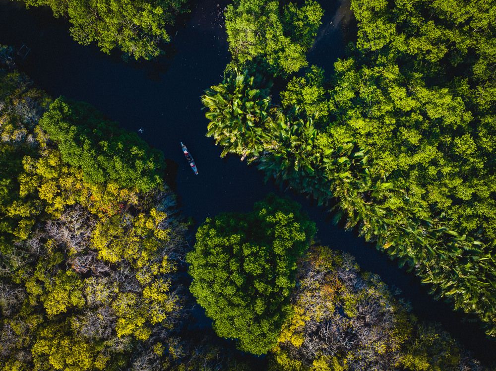 Фотография автора Quan Hung