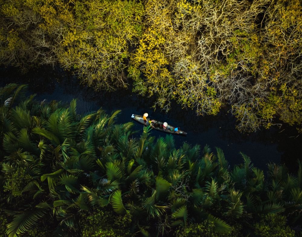 Фотография автора Quan Hung