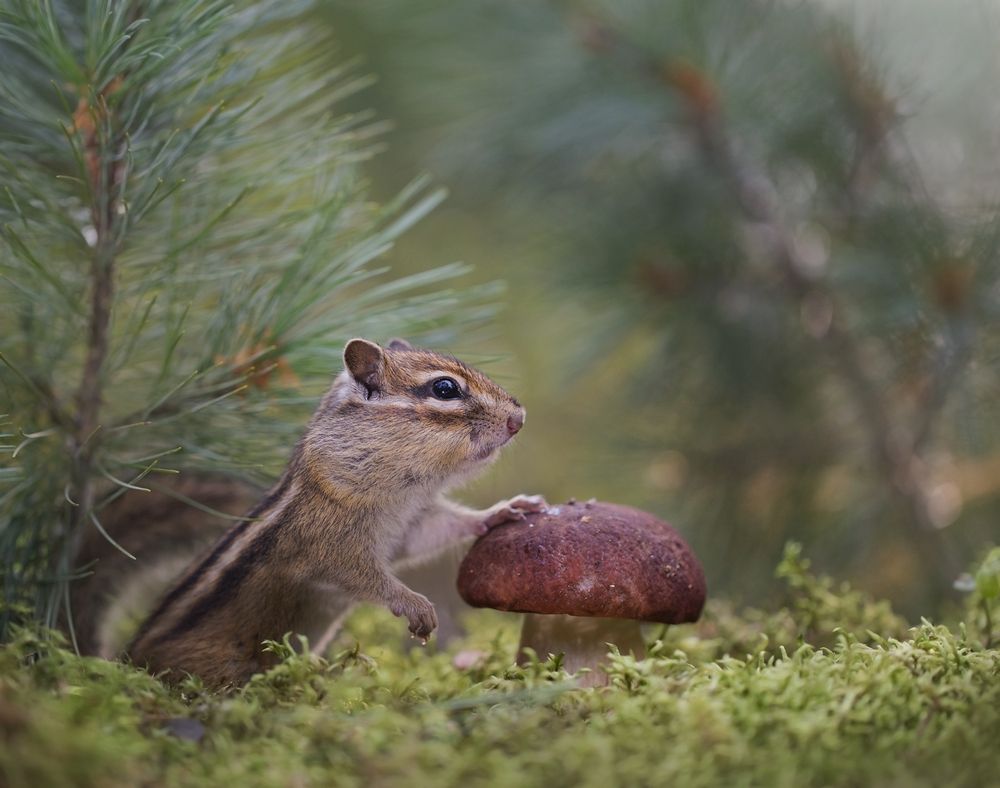 Photograph by Евгения Левина
