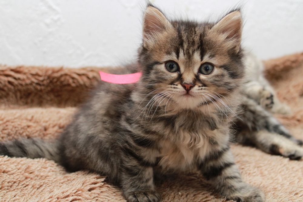 Photograph by Ольга Карпачева