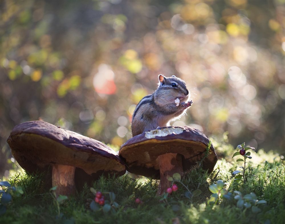 Photograph by Евгения Левина