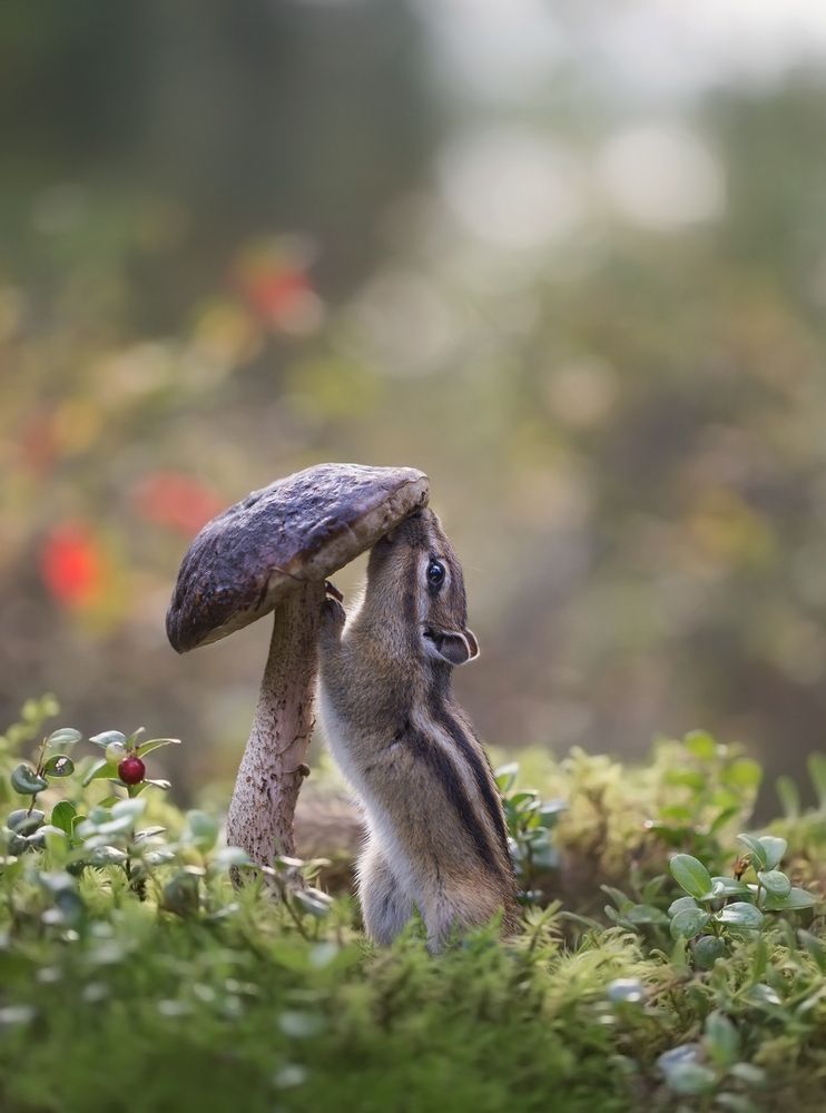 Photograph by Евгения Левина