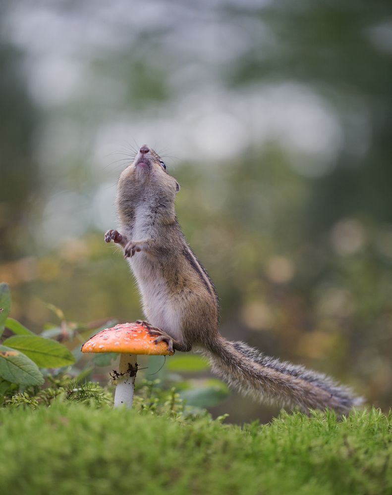 Photograph by Евгения Левина