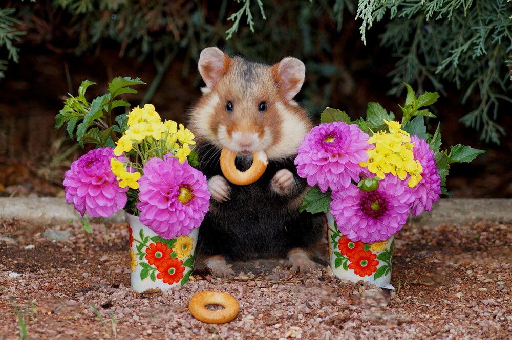 Photograph by Наталья Степаненко