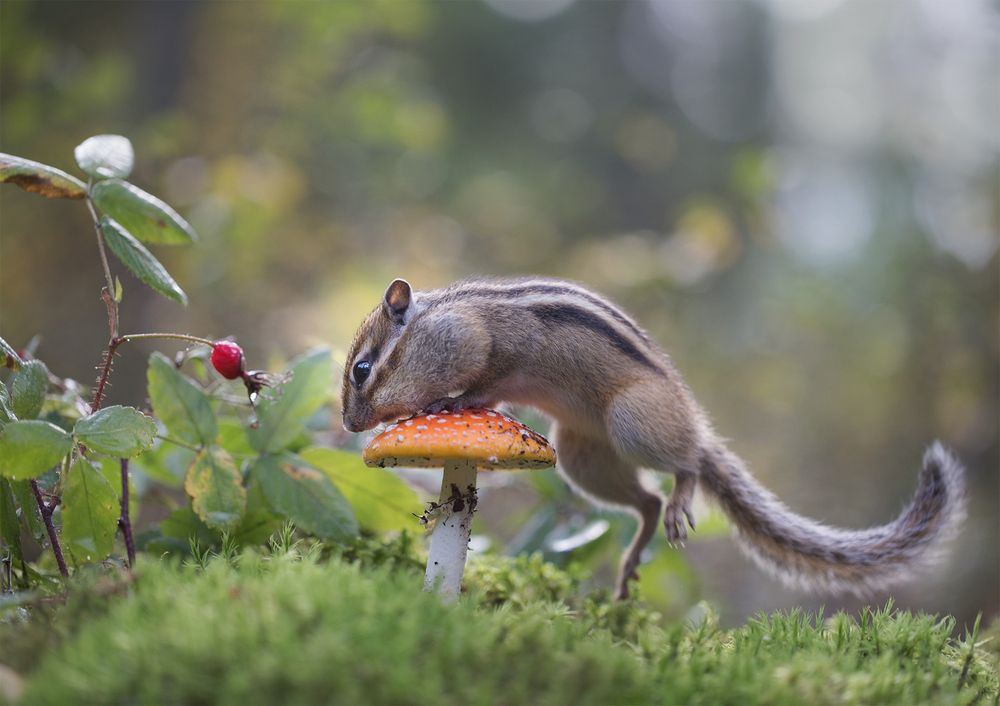 Photograph by Евгения Левина