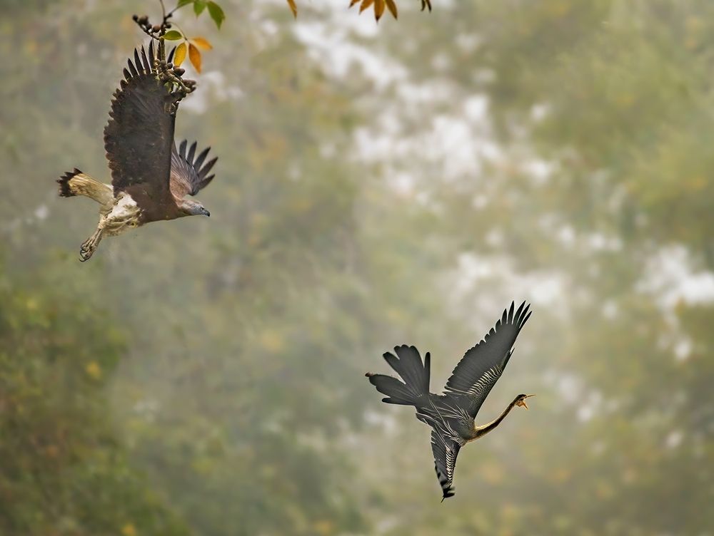 Photograph by Tapas Kundu