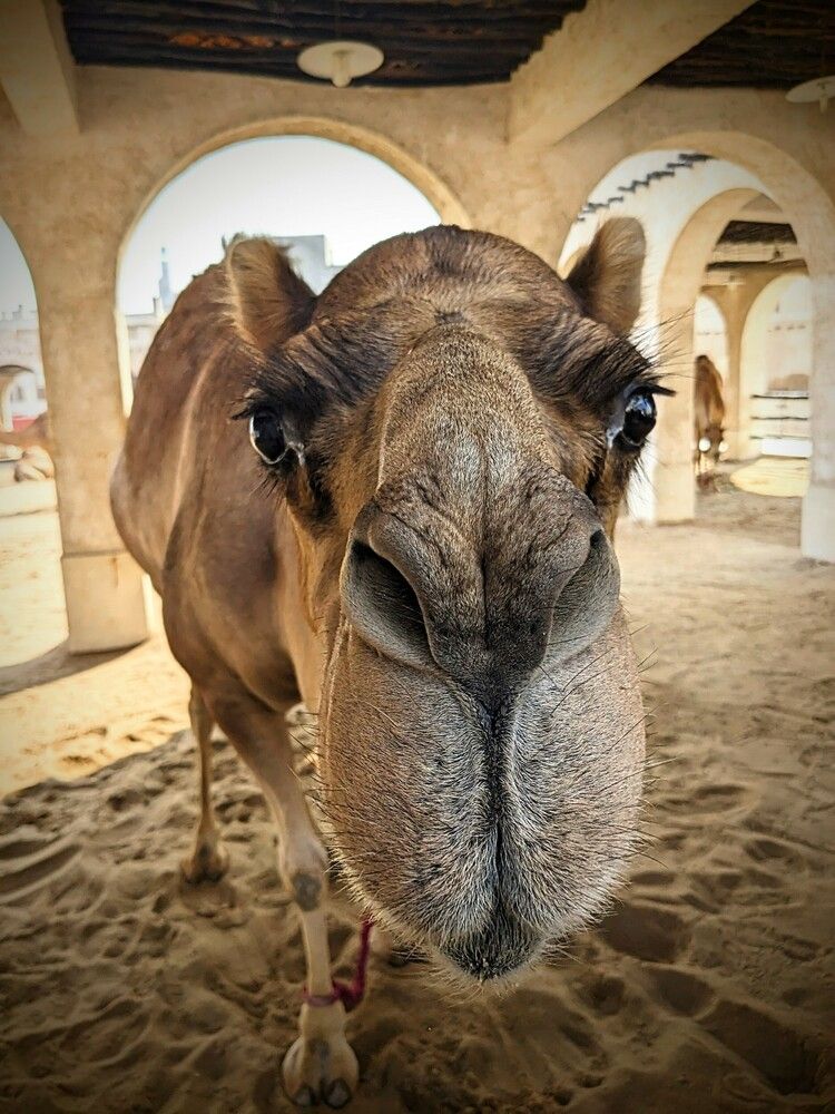 Photograph by Константин Косяков