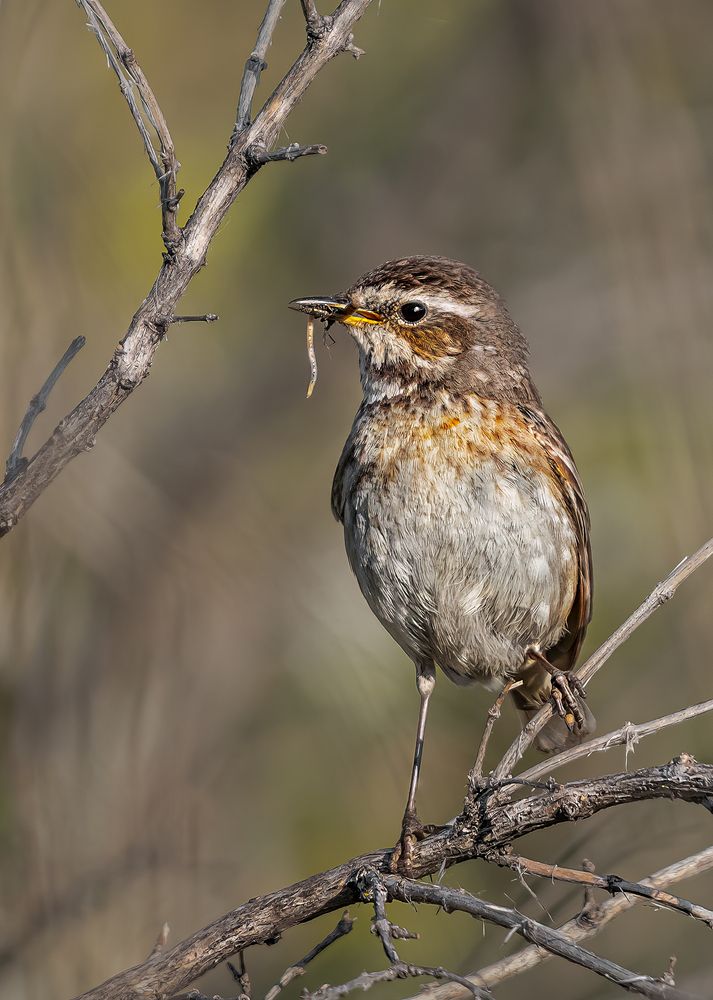 Photograph by Олег Белан