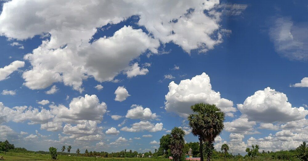 Photograph by Dilip kumar J Jdk