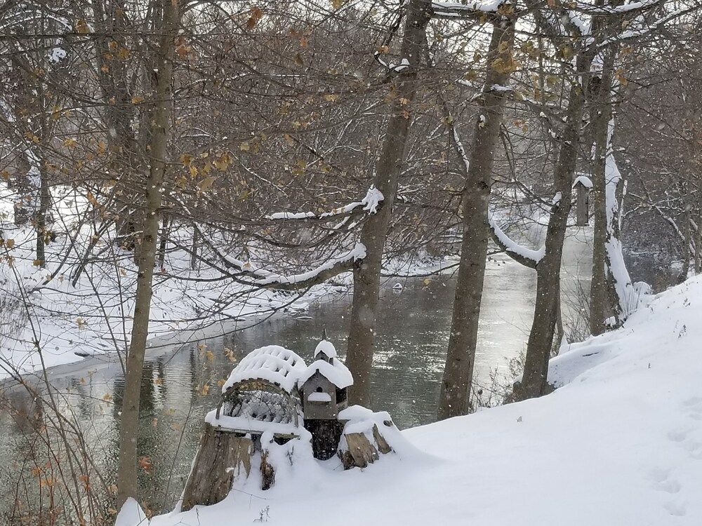 Photograph by Lauralee Craig