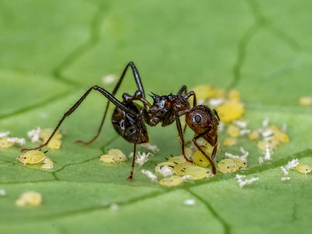 Photograph by Rachana madhav