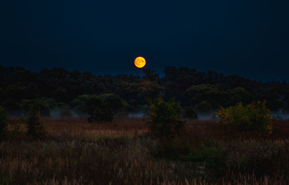 Photograph by Андрей Данилов