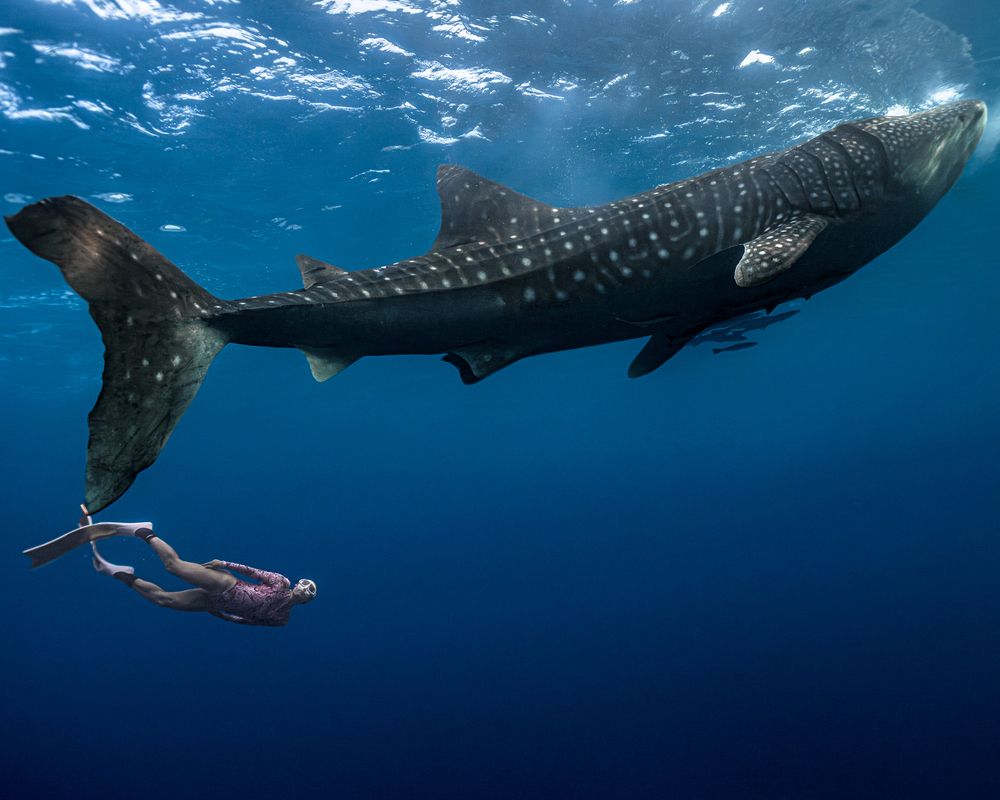 Strength and tenderness