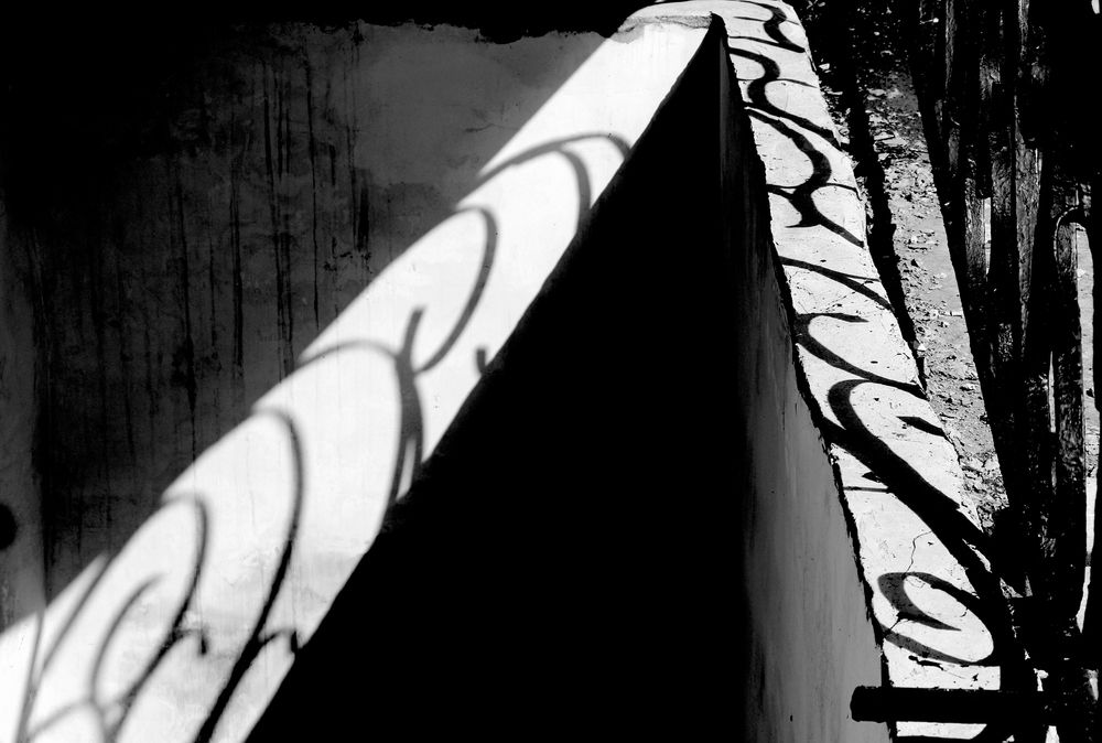 Photograph by Жанна Валиева