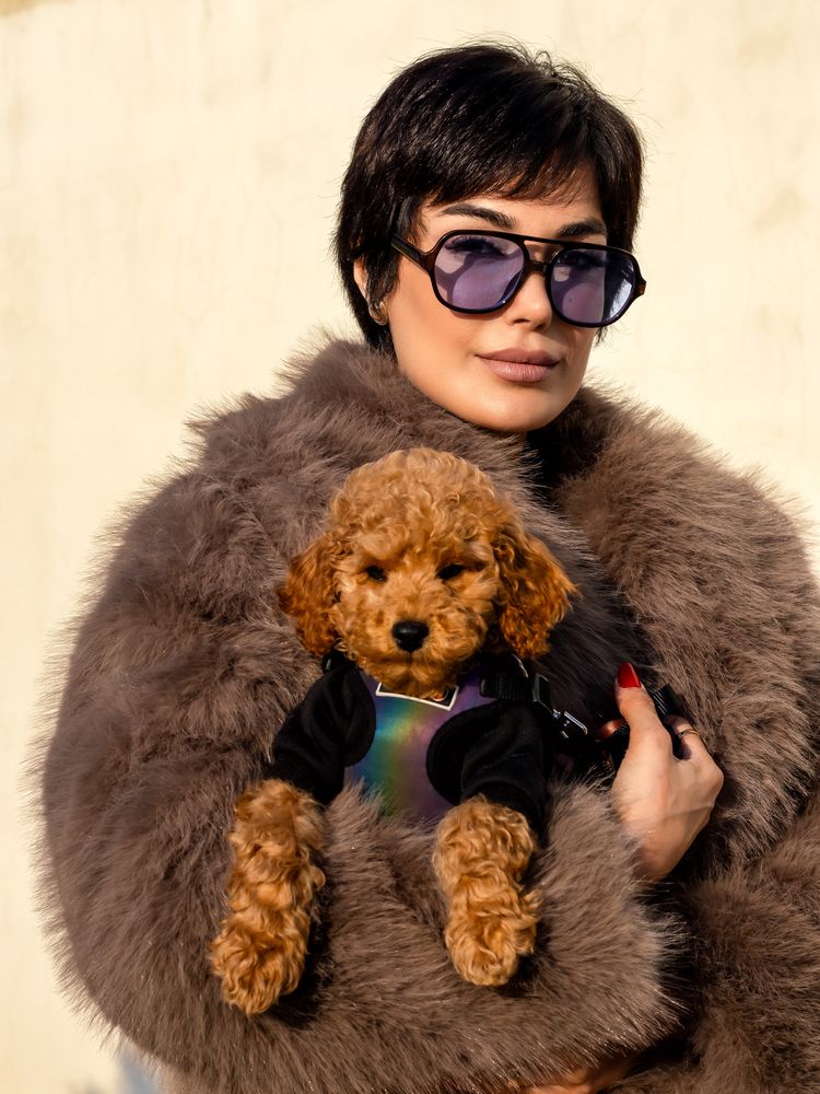 Photograph by mehdi shokravi