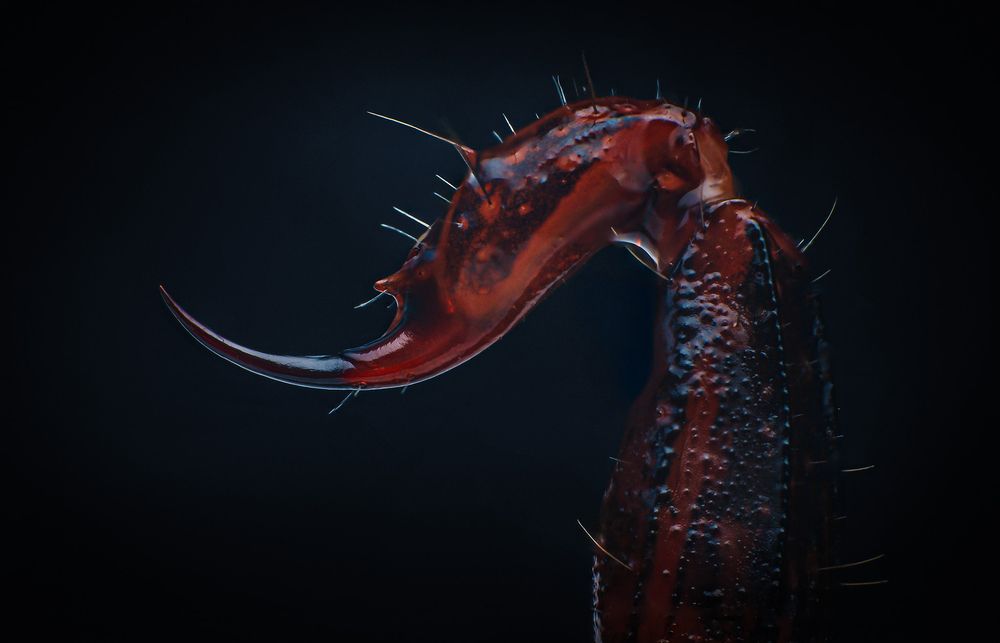 Photograph by Norman Celis