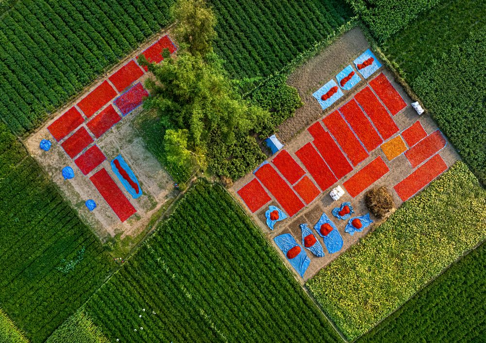 Photograph by Badal Chandra Sarker