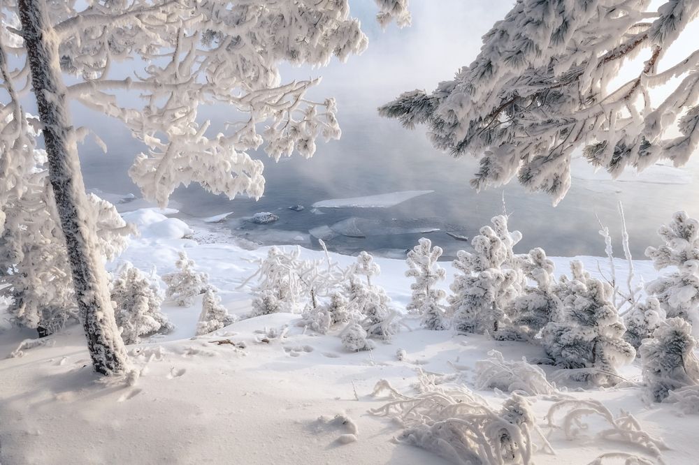 Photograph by Фомина Марина