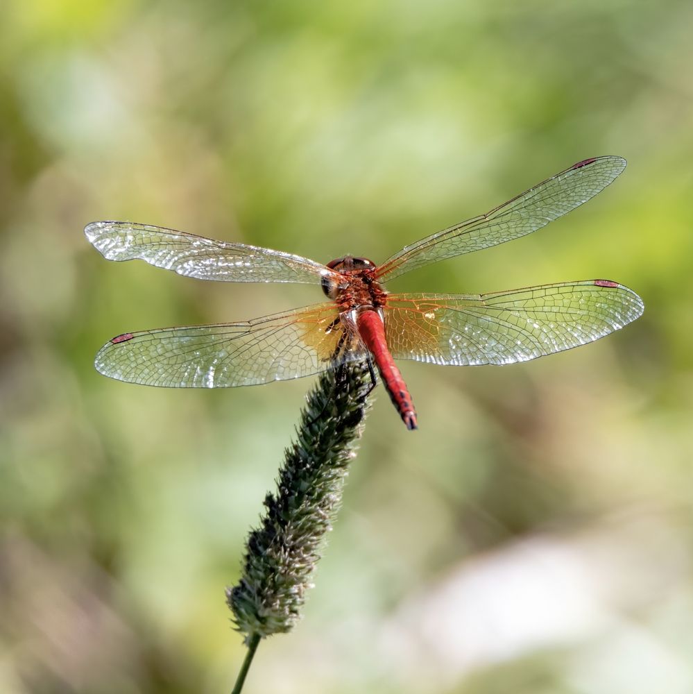 Photograph by Бурыкин Илья