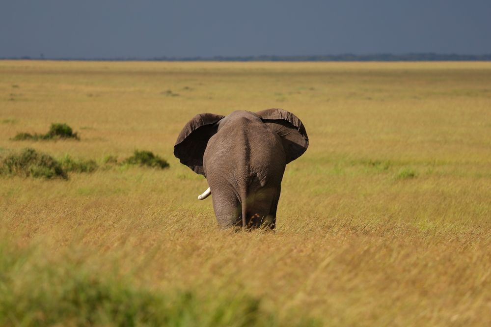 Photograph by Sanjay Risbood