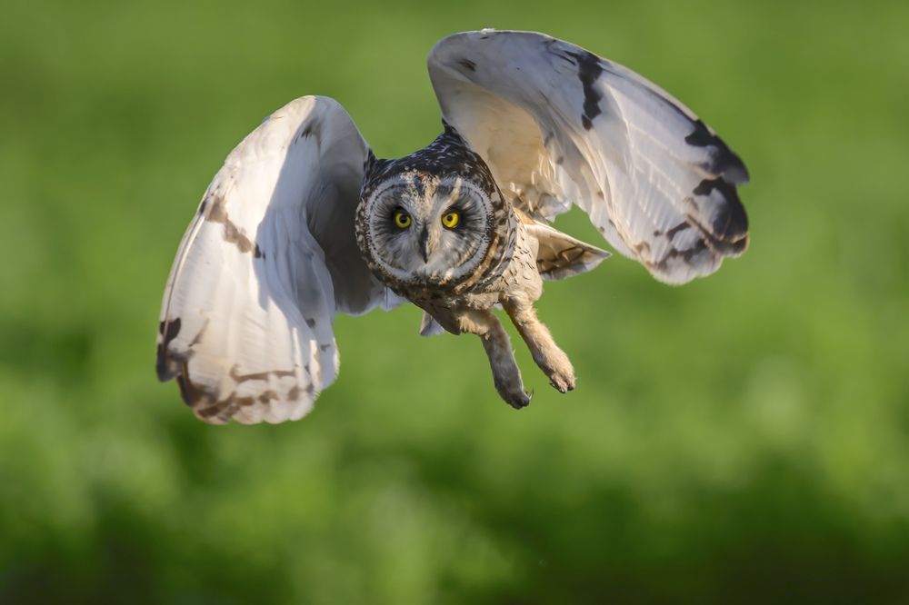 Photograph by Пупонин Сергей