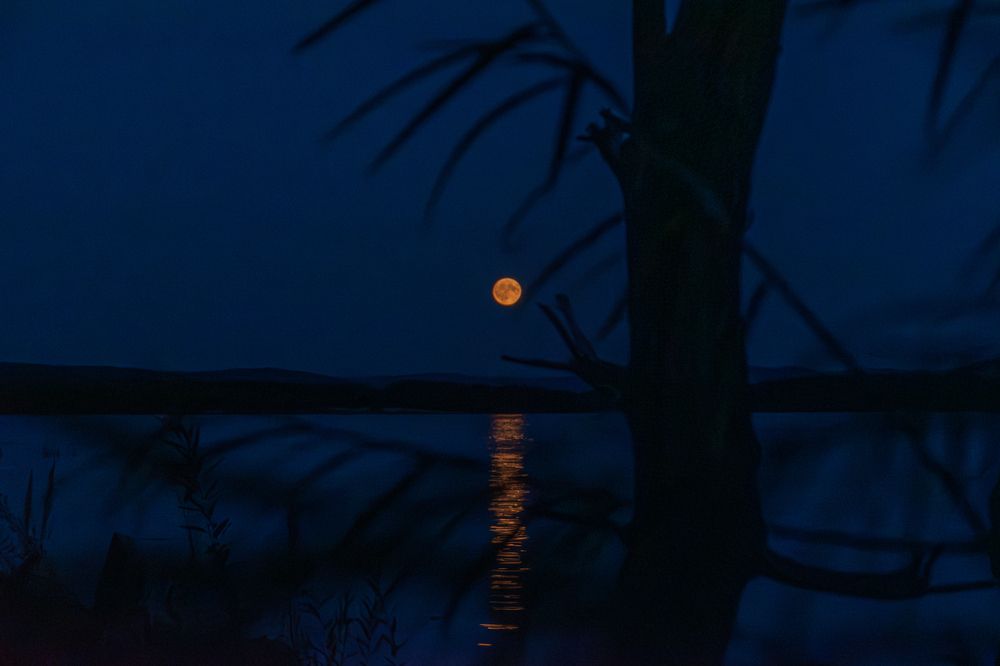 Photograph by Irina Luidinshina