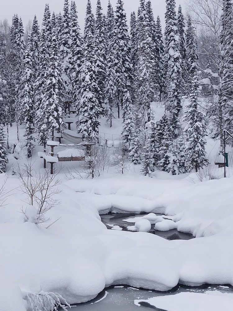 Photograph by Светлана Шиляева