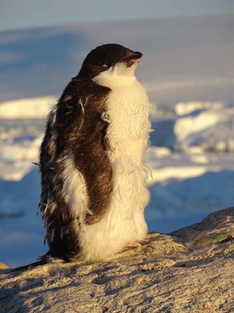 Photograph by ELVIRA LUNEVA