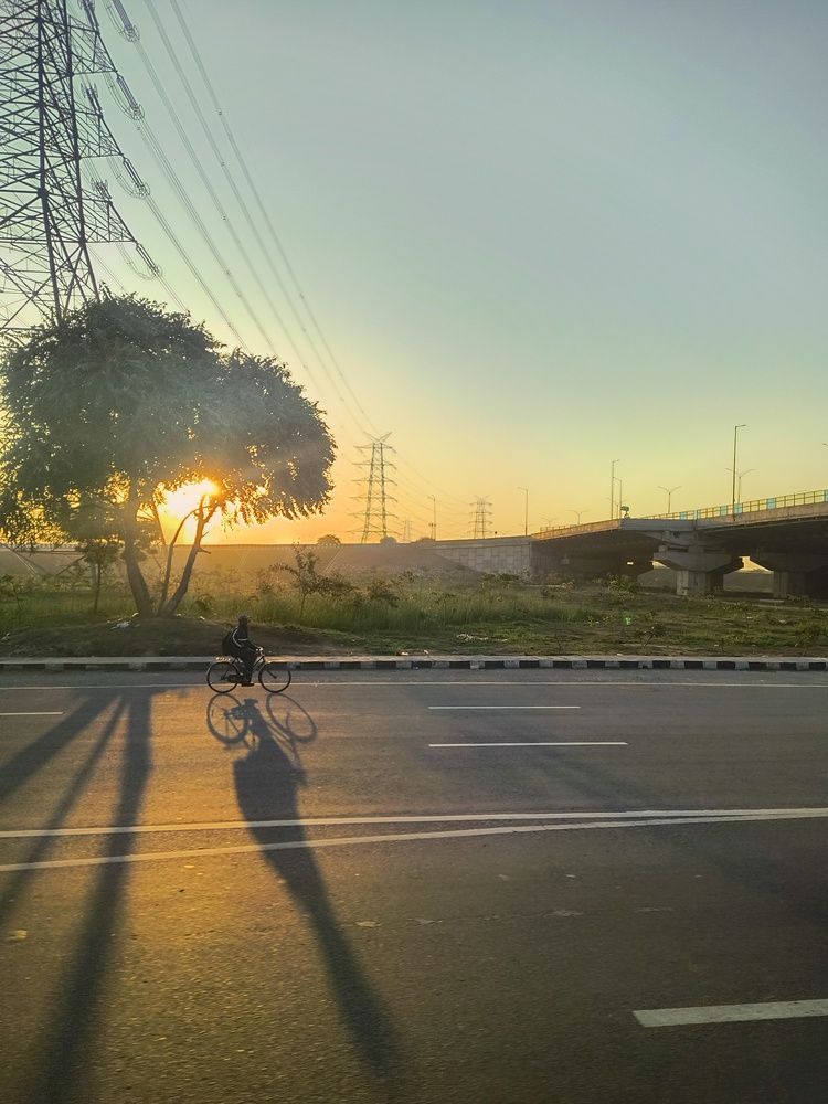 Photo #11947247