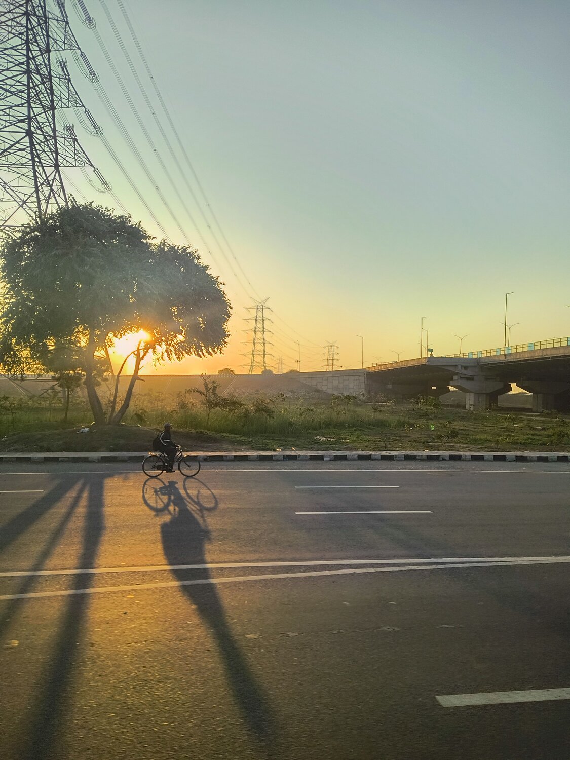 Photo #11947247