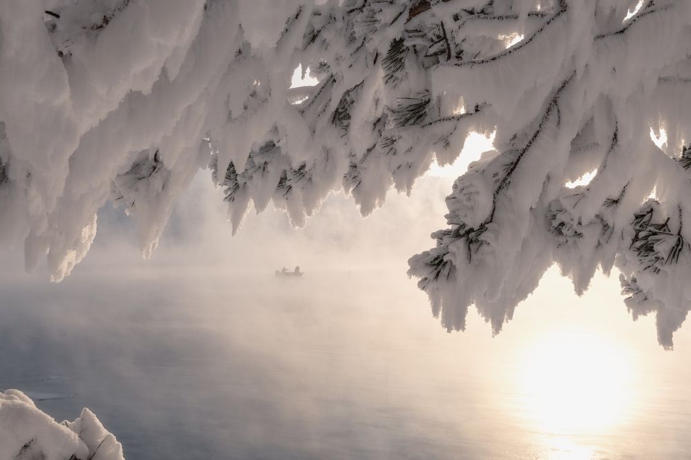 Photograph by Фомина Марина